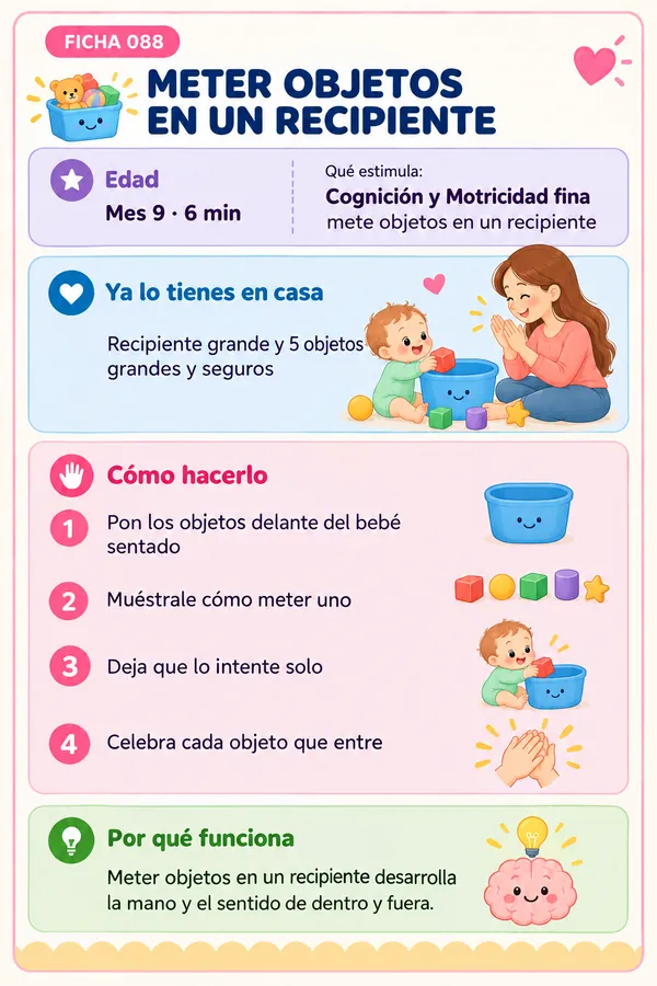 Ficha 088: Meter objetos en un recipiente